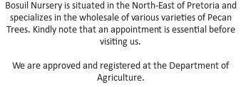 Bosuil Nursery is situated in the North-East of Pretoria and specializes in the wholesale of various varieties of Pecan Trees. Kindly note that an appointment is essential before visiting us. We are approved and registered at the Department of Agriculture.