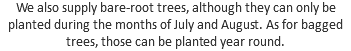 We also supply bare-root trees, although they can only be planted during the months of July and August. As for bagged trees, those can be planted year round.