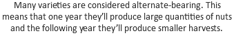 Many varieties are considered alternate-bearing. This means that one year they’ll produce large quantities of nuts and the following year they’ll produce smaller harvests.