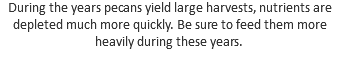 During the years pecans yield large harvests, nutrients are depleted much more quickly. Be sure to feed them more heavily during these years.